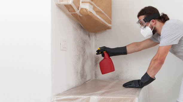 Professional Bathroom Mold Removal technician working in Arlington, MN